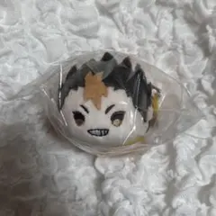 ハイキュー！！西谷夕 もちマス