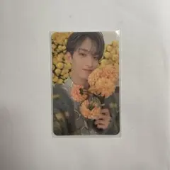 SEVENTEEN ドギョム your choice トレカ