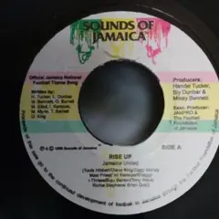 2026年最新】ziggy レコードの人気アイテム - メルカリ