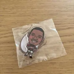 北海道コンサドーレ札幌　アクスタ　バカヨコ選手