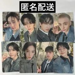 スキズ　straykids dominate 静岡　会場限定トレカ　コンプ