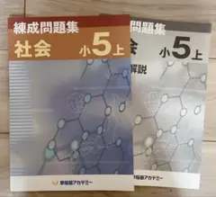 2026年最新】練成テキスト 小5の人気アイテム - メルカリ