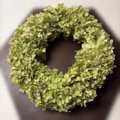 ドライフラワー＊アナベルのグリーンリース＊ナチュラルリース
