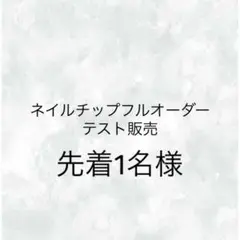フルオーダー注文用 サイズ計測チップ