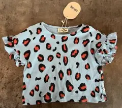 Item thumbnail for item 585b14d1-7f0b-4570-ba3a-95be649f4b4b