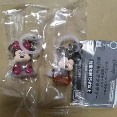 ディズニーキャラクター 〈松本セイジ〉 めじるしアクセサリー