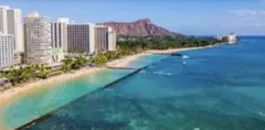 ！問い合わせ専用！ 激安！ハワイ！ 1月3〜9日6泊４名宿泊券