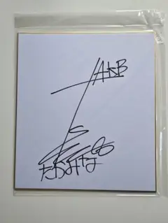 プレメモ　AKB0048 たかみな　直筆サイン　PSA10サイン10 プレメモ AKB0048 たかみな 直筆サイン PSA10サイン10 Amazon.co