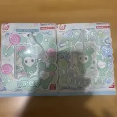 TWICE LOVELYS カードホルダー　ミブリー