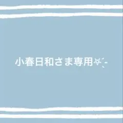 ★小春日和さま専用ページ★