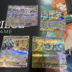 ポ*読様 テラスタルフェスex ブイズセット