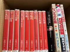 【13冊まとめ売り】美内すずえ 白泉社文庫他　少女漫画
