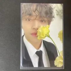 seventeen エスクプス FML carat盤