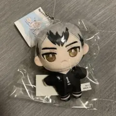 ハイキュー 北信介 ぬいまとめ ハイキュー!!_ぬいぐるみ ちょこんとフレンズVol.2 6 北信介