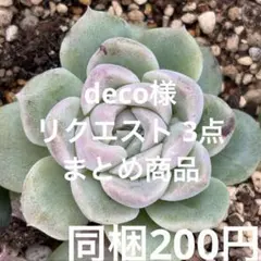 deco様 リクエスト 3点 まとめ商品