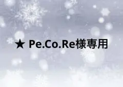 ★ Pe.Co.Re様専用
