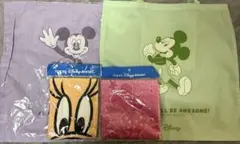 東京ディズニーリゾート ミッキー ミニー バッグ タオル 4点セット