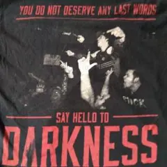 ダークネス DARKNESS Ｔシャツ Ｌサイズ