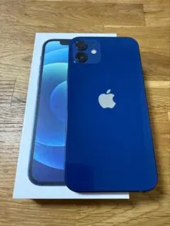 ジャンク品 携帯電話本体