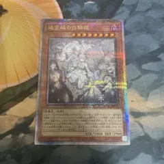 迷宮城の白銀姫　25th クオシク 絵違い 遊戯王 英語版 迷宮城の白銀姫 絵違い 25thレア RA04 北米版 予約
