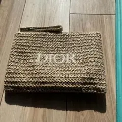 クリスチャンディオール ポーチ