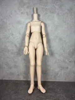 ヤ・シュトラ ドルフィードリーム DD ボークス 未開封 ボディタイツ、おまけ付 ヤ・シュトラ ドルフィードリーム DD ボークス 未開封 ボディ