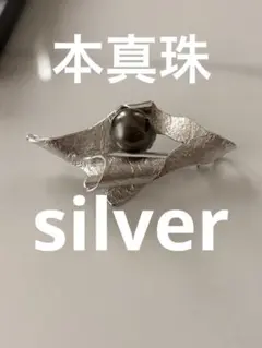 作家melte Silver925(K18YGP)ヨウシュヤマゴボウネックレス 作家melte Silver925(K18YGP)ヨウシュヤマゴボウネックレス - メルカリ