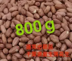 지바 농가 생땅콩 한짓수 800g (정상출고)