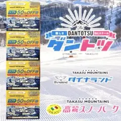 高鷲マウンテンリフト半額券と高鷲ダイナ一日券 高鷲 ダイナスキー場 半額リフト券4枚セット 1日券2枚23/24