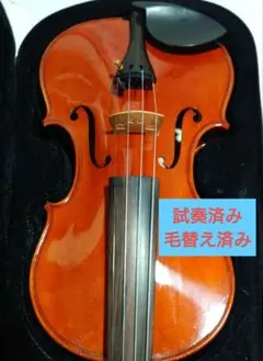 本格派セット】ピグマリウス DX-118 バイオリン（アルシェ弓／ケース