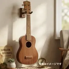 1882 로그 파인 인스트루먼트 우쿨렐레 RU12-KIT
