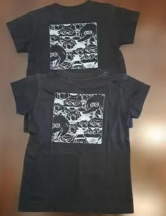 Item thumbnail for item 7ef9ffab-ed4d-4ff5-bbb2-fae3c291d50d