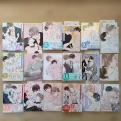 にむまひろ アフター・ミッドナイト・スキン 特典 特装版小冊子