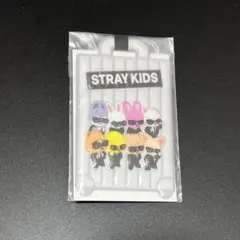 StrayKids RUN IT JAPAN アプグレ 特典 ラゲッジタグ - メルカリ
