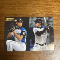J*e様 大谷翔平 トレカ2枚セット 日本ハムファイターズ J*e様 大谷翔平 トレカ2枚セット 日本ハムファイターズ 【公式通販】