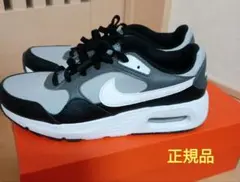 2025年最新】ペガサス41 24.5の人気アイテム - メルカリ