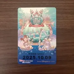 【使用済】2012年度 ディズニーリゾートライン 切符 パス リゾラ 2025年最新】リゾートライン 使用済みの人気アイテム - メルカリ