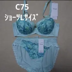 トリンプ 天使のブラ626 魔法のハリ感 E70/M普通 グリーン - メルカリ
