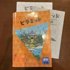 ピラミッド 理科 小6