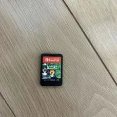 Nintendo Switch スイッチ ルイージマンション3 ソフトのみ