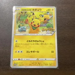 ポケるんTVのピカチュウとなかまたち プロモ - メルカリ