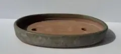 落款あり 盆栽鉢 楕円 浅鉢 20.5cm 時代物 昭和レトロ 山野草