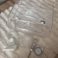 Item thumbnail for item e61e62f3-cc54-4540-9812-288ce0012209