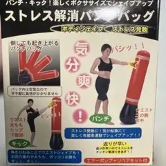 ストレス解消パンチバッグのサムネイル