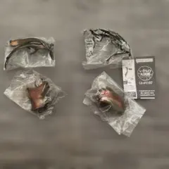 くわがた07 いきもの大図鑑　　エラフスホソアカクワガタ（銅色）