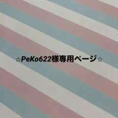 ⭐︎PeKo622様専用ページ⭐︎
