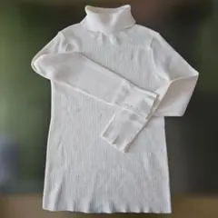 ホワイト タートル