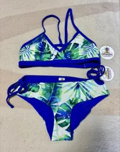 Item thumbnail for item 14852f98-426a-453d-b659-e2c2402244a1