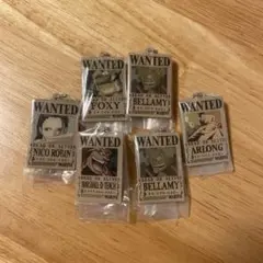 ワンピース ウォンテッドプレートチャーム　ロビンその他セット