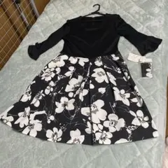 Item thumbnail for item 9a3d5a25-6ba2-4c13-9324-8c65fd375f15